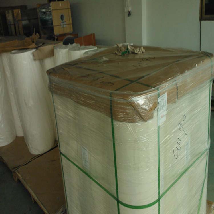 PET电机膜1 副本