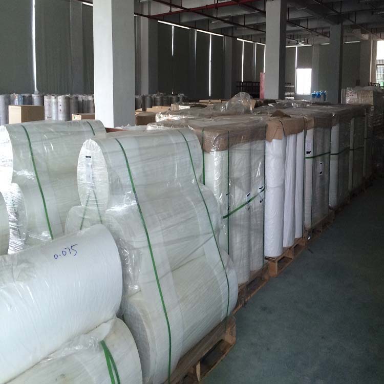 PET电机膜3 副本