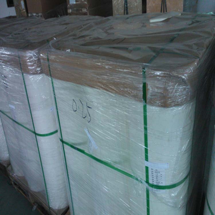 PET电机膜2 副本